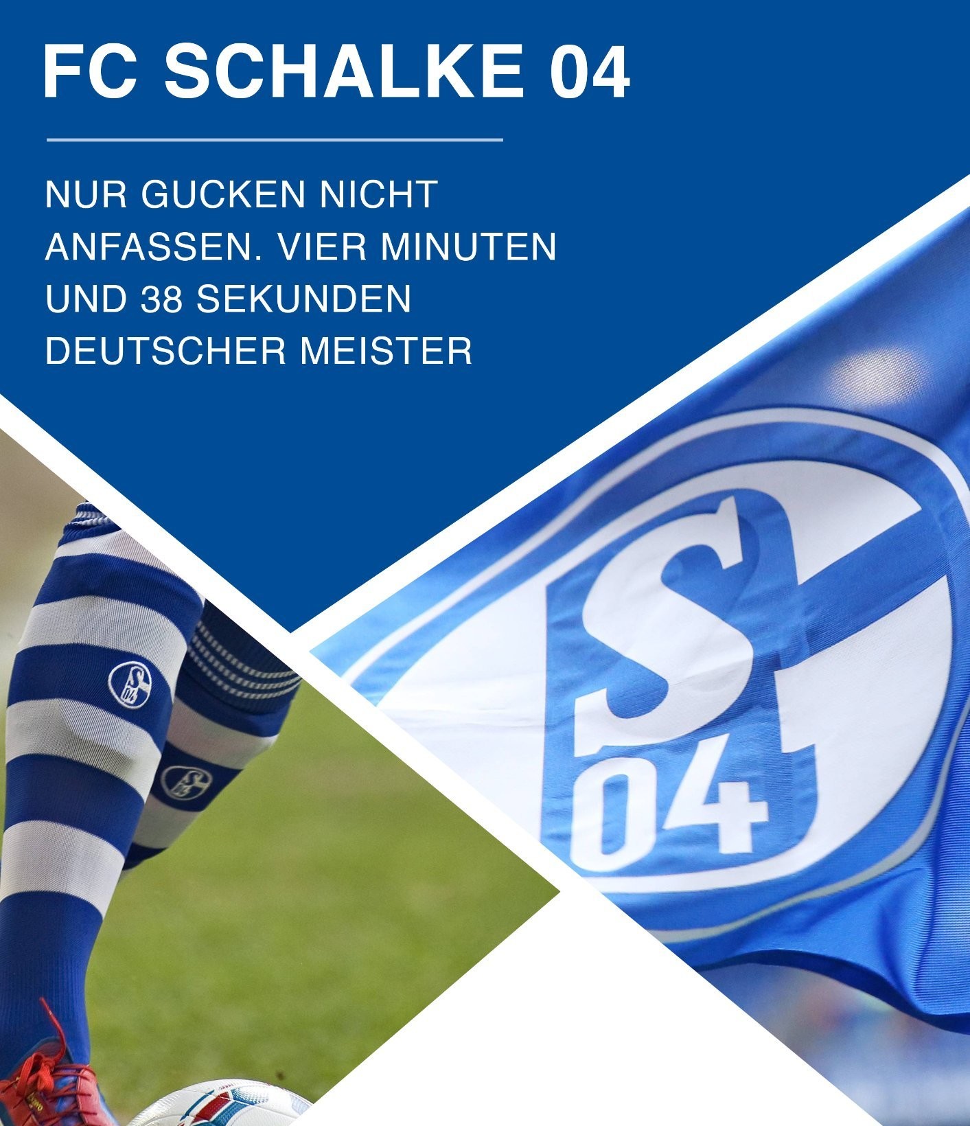 Akte Königsblau — Club-Dossier FC Schalke 04